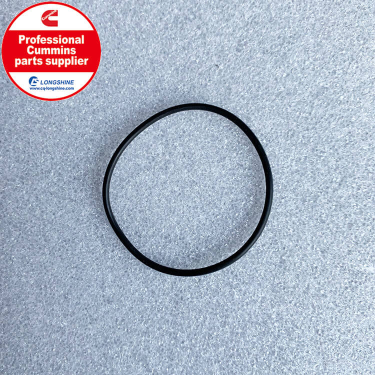 Cummins 6CT O Ring Seal 3883284-4