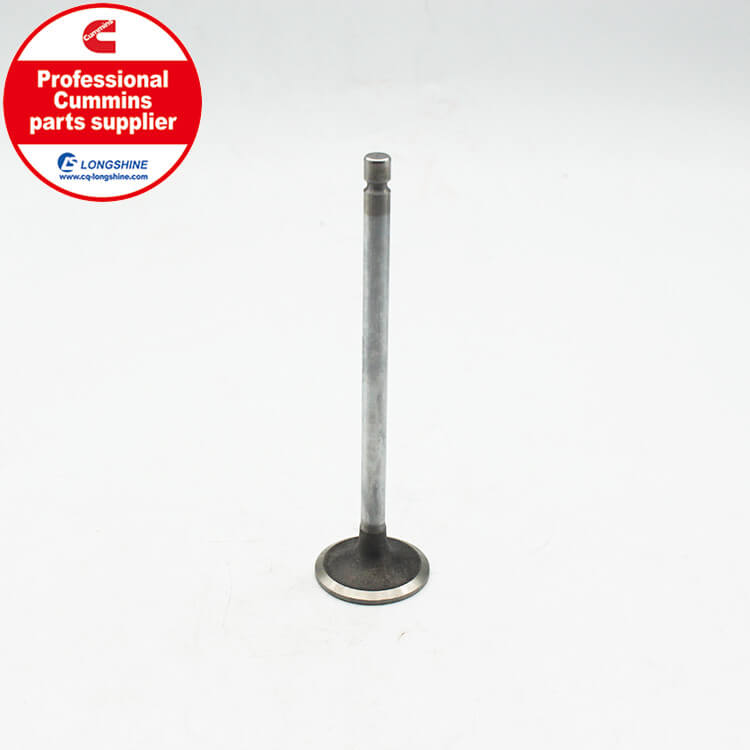 Cummins QSB6.7 Engine Intake Valve 3802924-4
