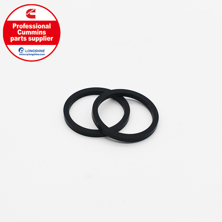 Cummins NT855 NTA855 Rectangular Ring Seal 100099