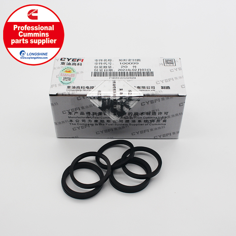 Cummins NT855 NTA855 Rectangular Ring Seal 100099