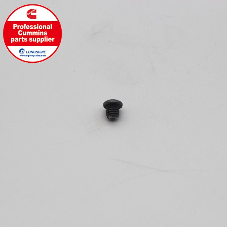 Cummins K19 KTA19 Injector Orifice Plug 3045008