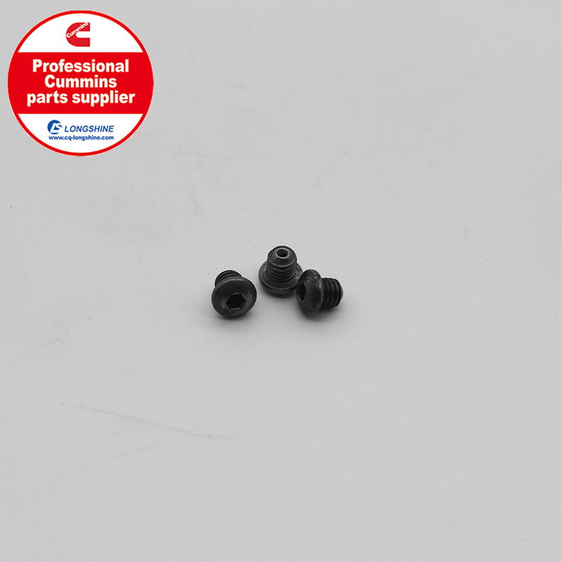 Cummins K19 KTA19 Injector Orifice Plug 3045008