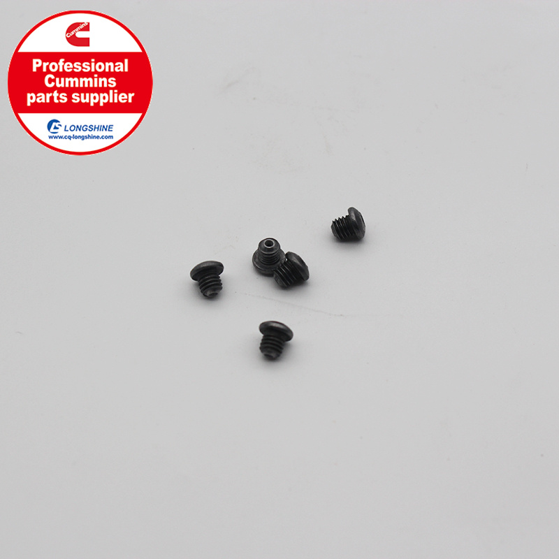 Cummins K19 KTA19 Injector Orifice Plug 3045008