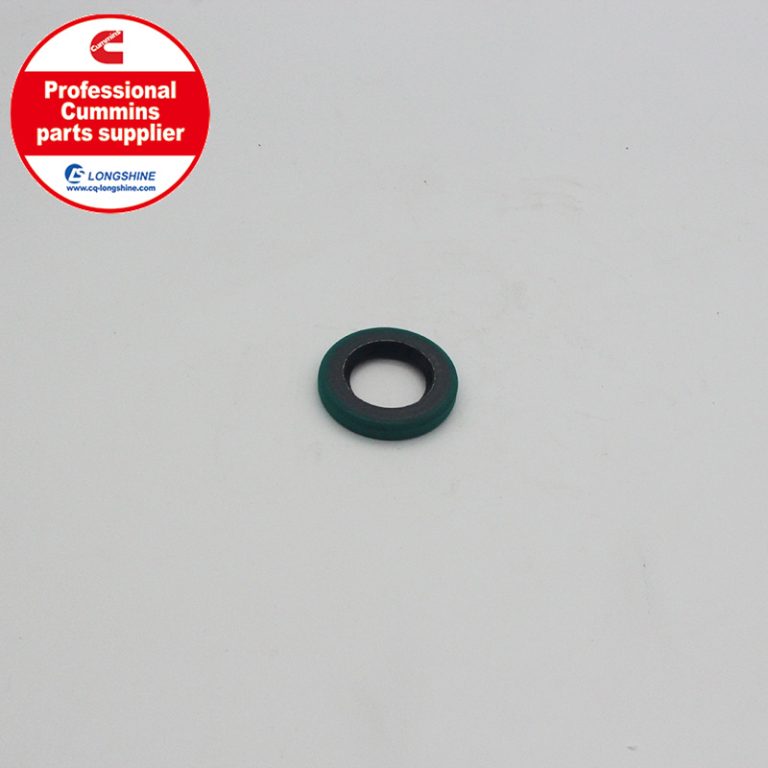 Cummins K19 KTA19 Oil Seal 3062676