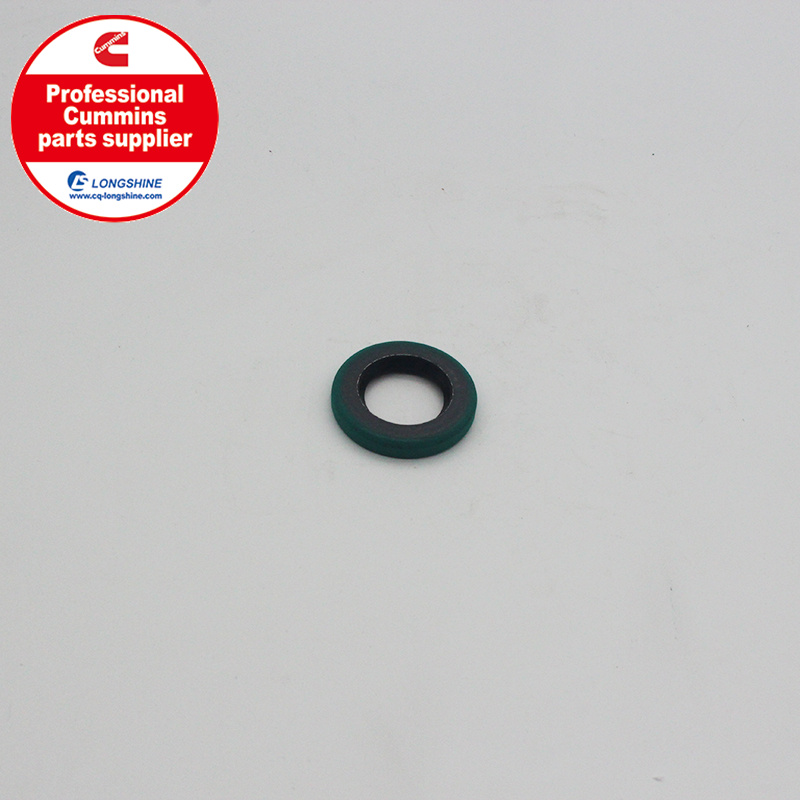 Cummins K19 KTA19 Oil Seal 3062676