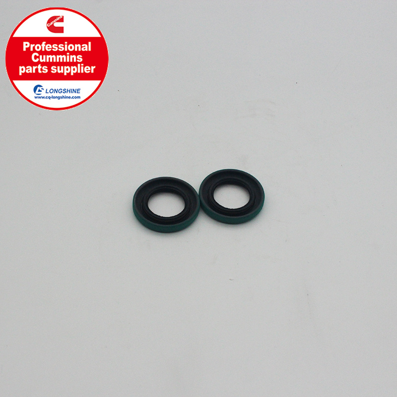 Cummins K19 KTA19 Oil Seal 3062676
