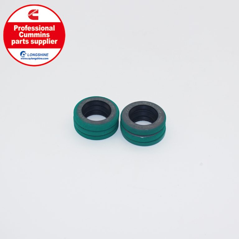 Cummins K19 KTA19 Oil Seal 3062679