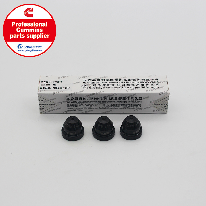 Cummins NT855 NTA855 Injector Cup 3018814