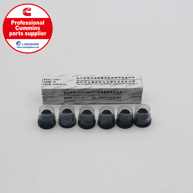Cummins NT855 NTA855 Injector Cup 3018814