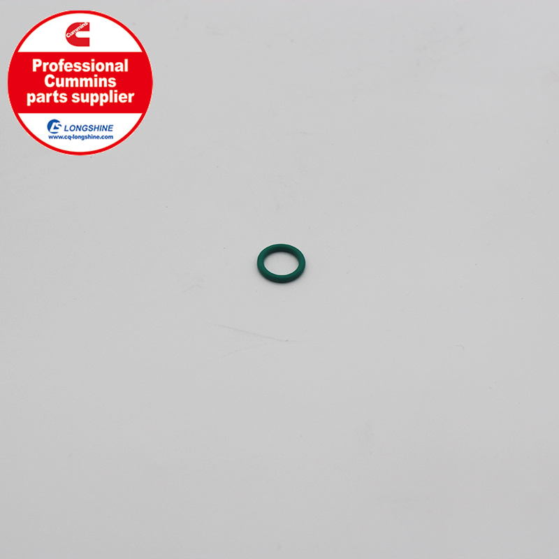 Cummins NT855 NTA855 O Ring Seal 3034412