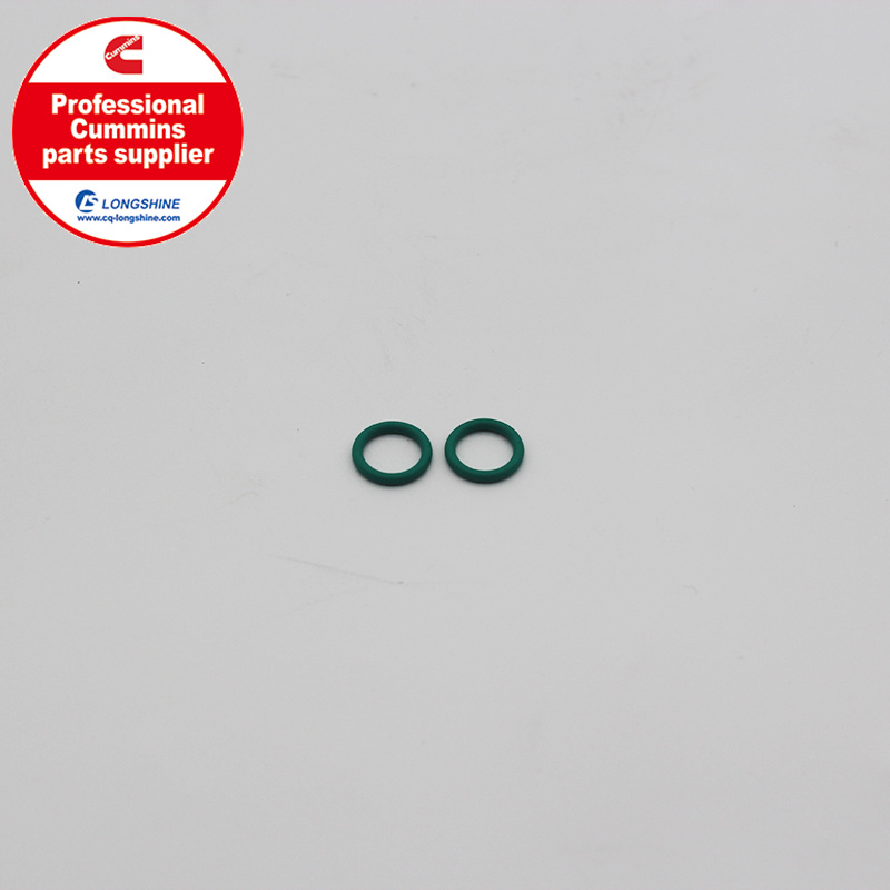 Cummins NT855 NTA855 O Ring Seal 3034412