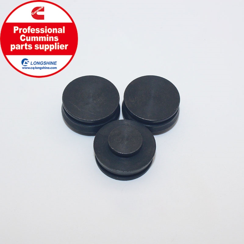 Cummins K19 KTA19 Filter Cap 201007