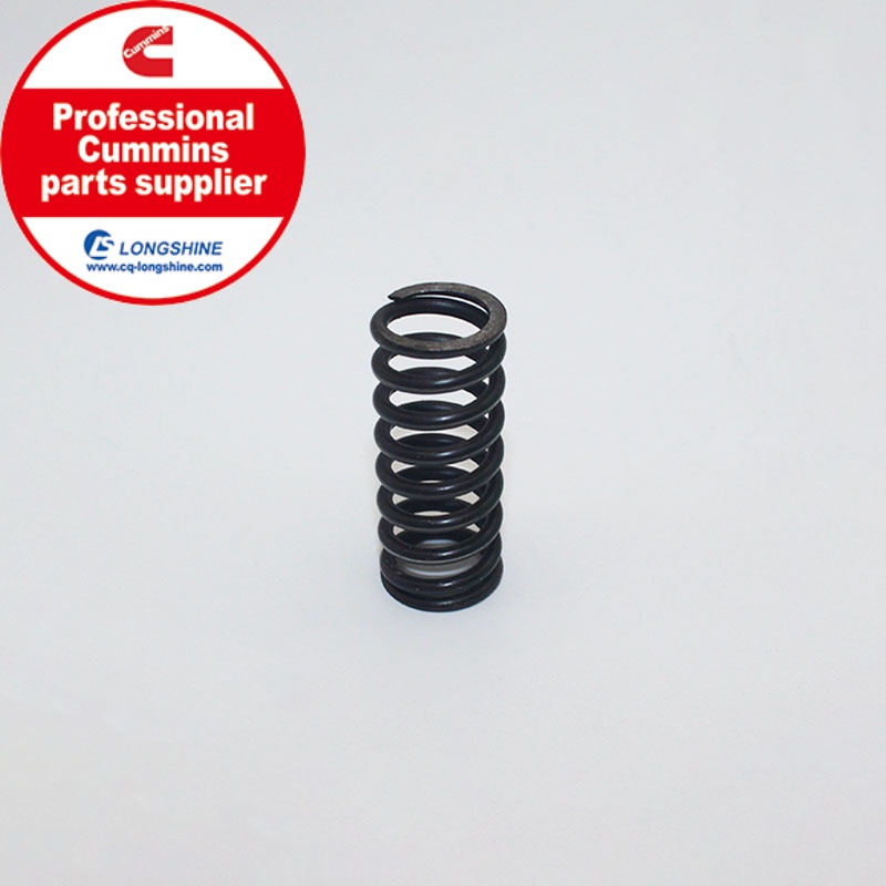 Cummins K19 KTA19 Governor Spring 109688