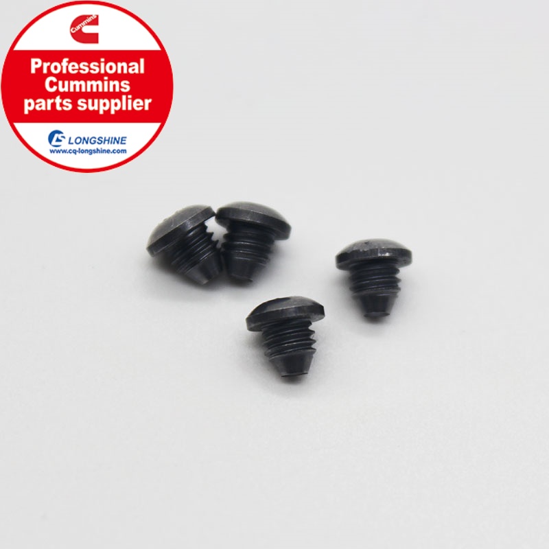 Cummins K19 KTA19 Injector Orifice Plug 3045014