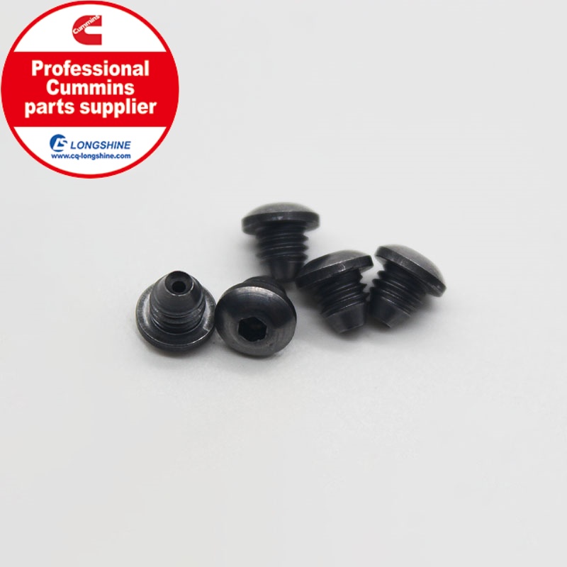 Cummins K19 KTA19 Injector Orifice Plug 3045014