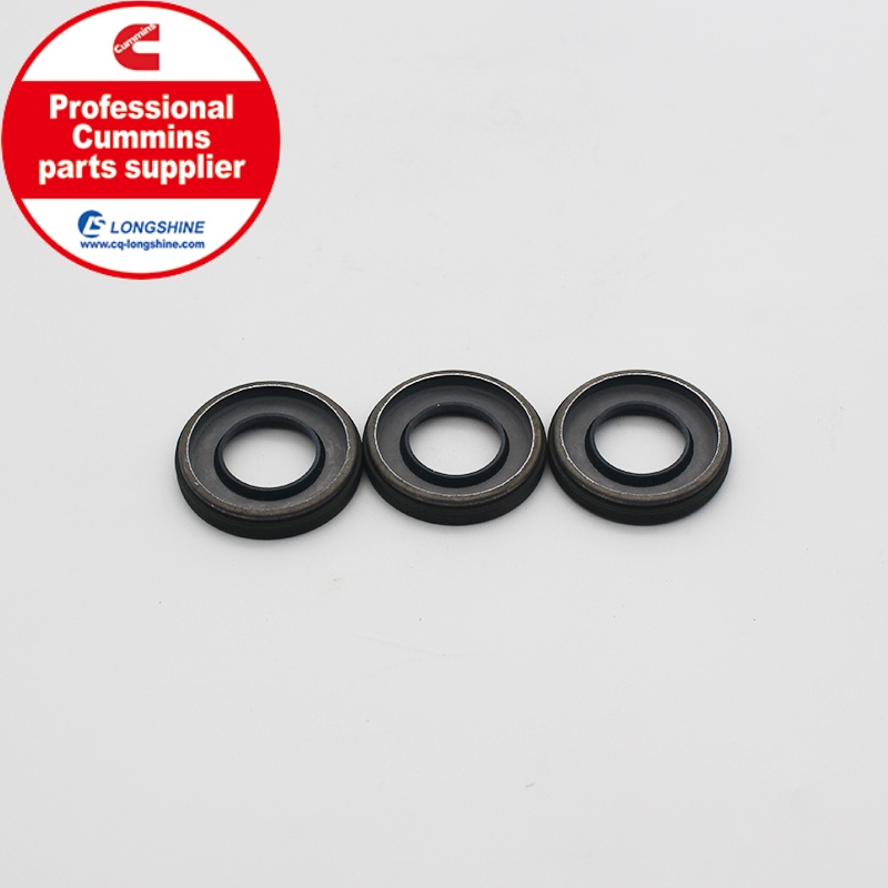 Cummins K19 KTA19 Oil Seal 3075523