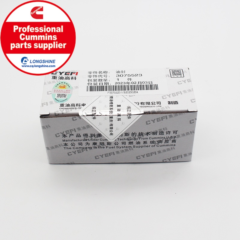 Cummins K19 KTA19 Oil Seal 3075523
