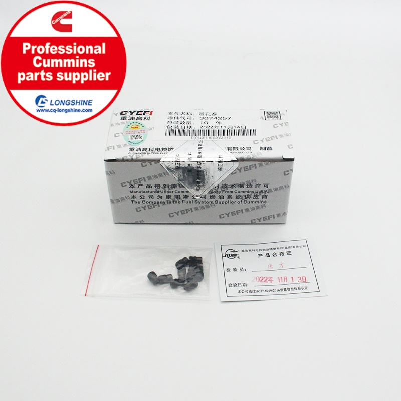 Cummins K38 KTA38 Orifice Plug 3074257