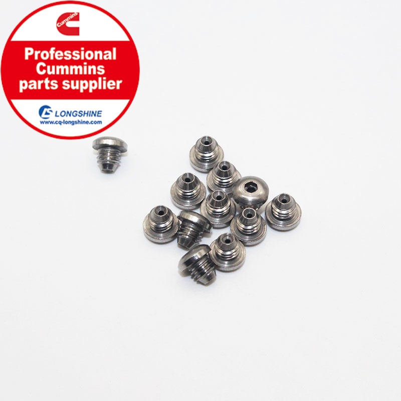 Cummins K19 KTA19 Injector Orifice Plug 3045012