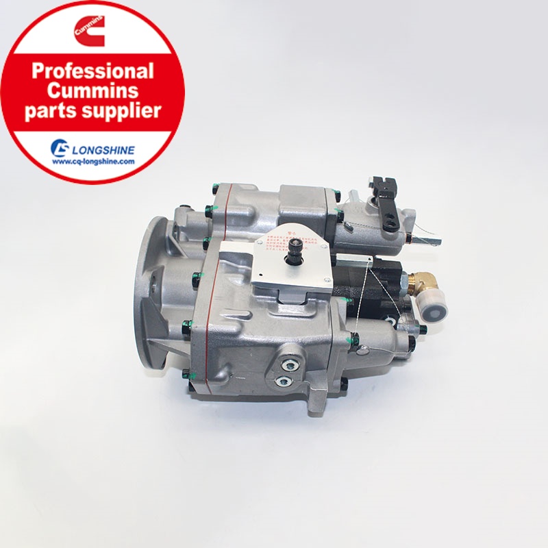 Cummins NT855 NTA855 Fuel Injection Pump 3096276 E810A