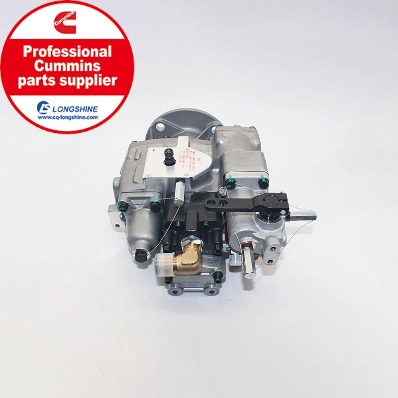 Cummins NT855 NTA855 Fuel Injection Pump 3096276 E810A