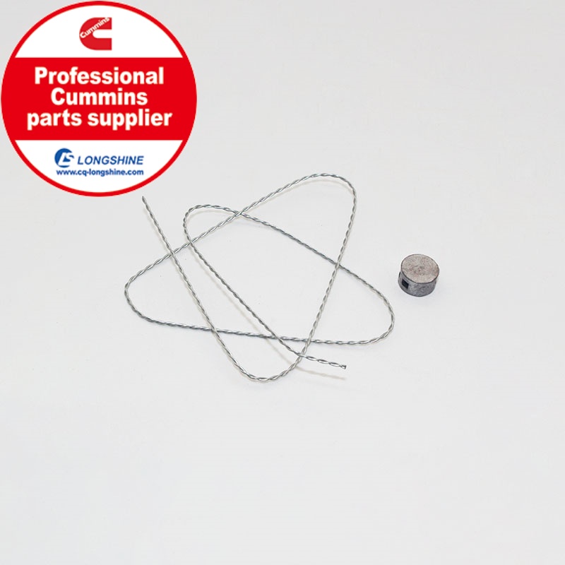 Cummins NT855 NTA855 Wire Seal 3003156