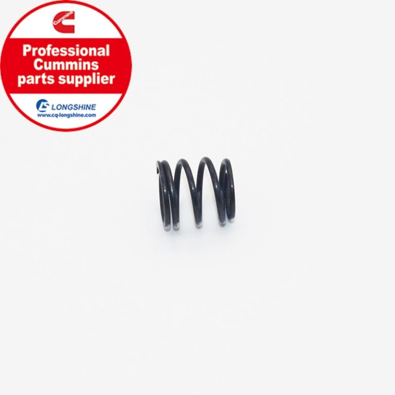 Cummins Compression Spring 3002054