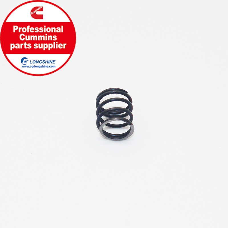 Cummins Compression Spring 3002054