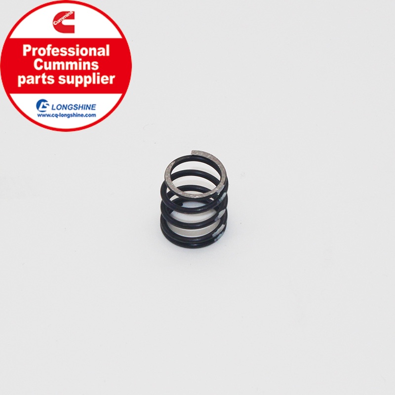 Cummins Compression Spring 3002054