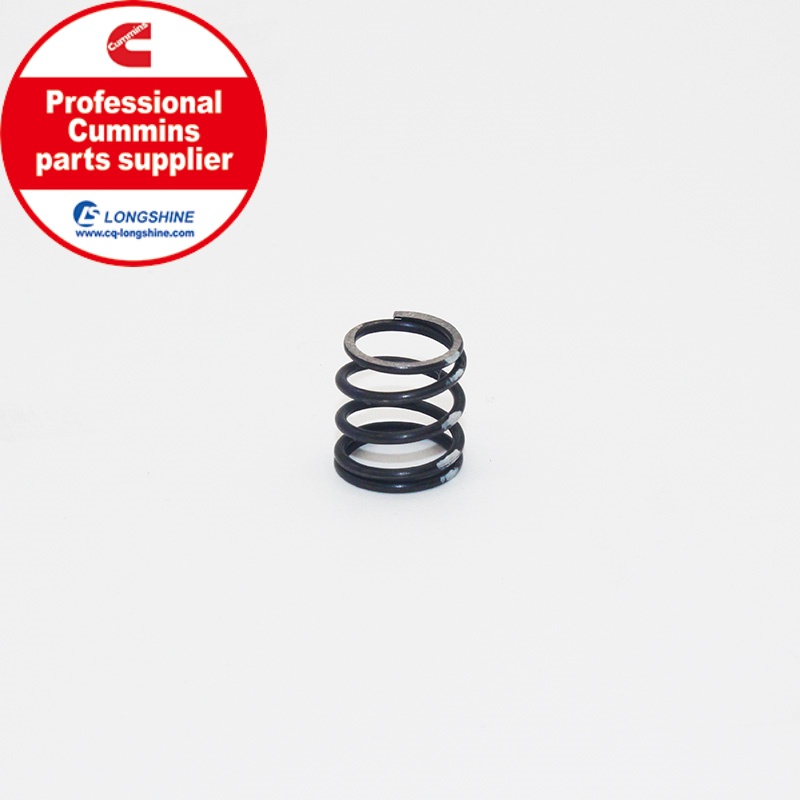 Cummins Compression Spring 3002054